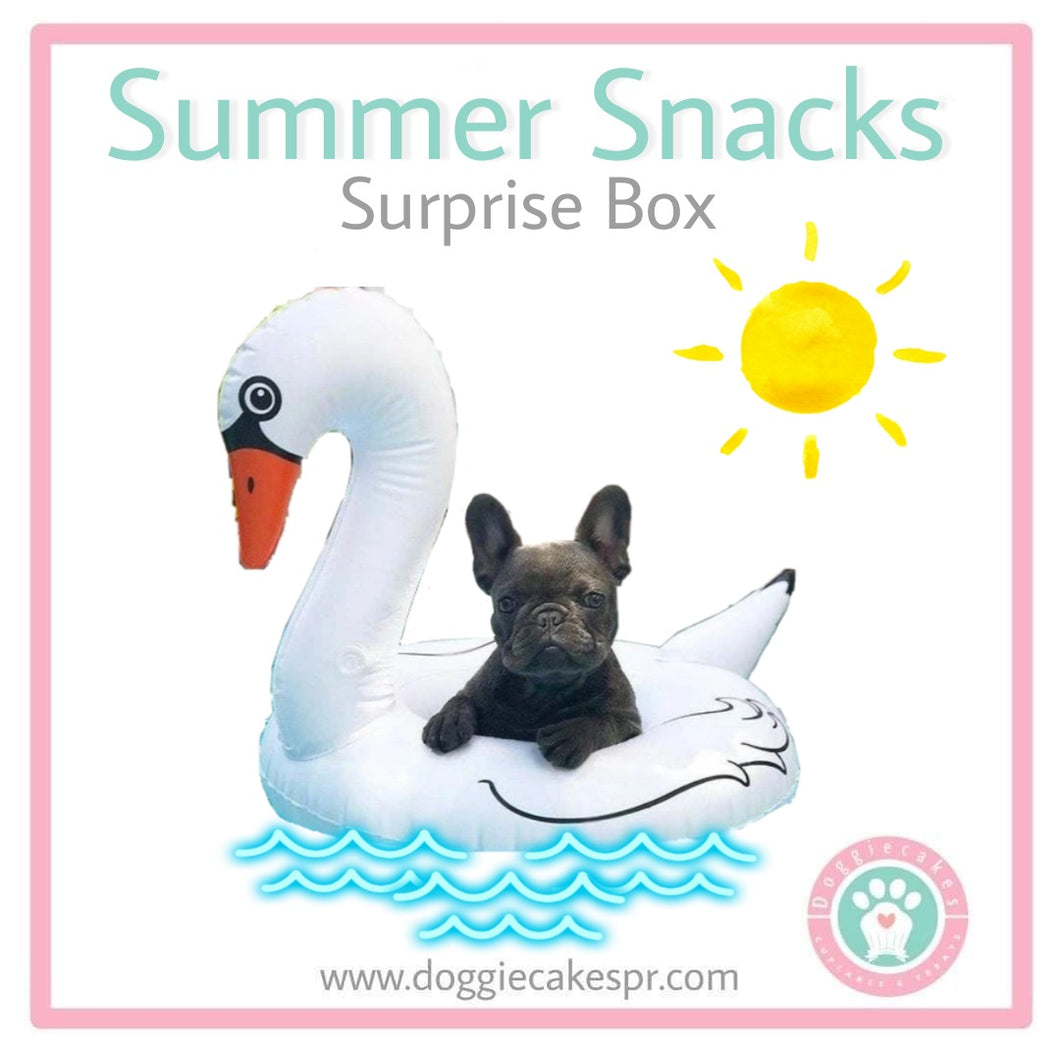 Summer Snacks Surprise Box