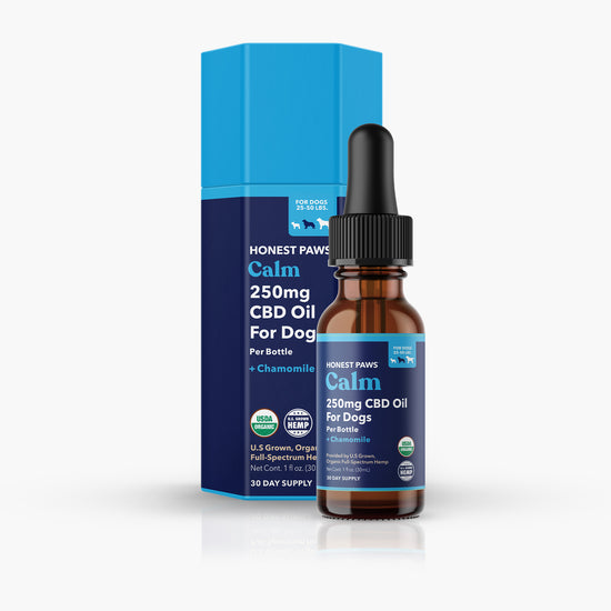 Honest Paws CBD Oil for Dogs