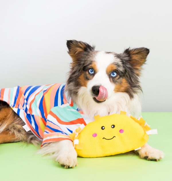 Taco Dog Toy