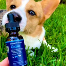 Cargar imagen en el visor de la galería, Honest Paws CBD Oil for Dogs
