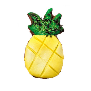 Tropical PAWradise Dog Treats Set